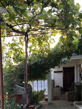 ������� ���� | Imot.bg � ����� ������ 15