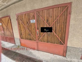 ����� ������� �����,���� �����, ����������