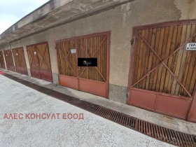 ����� ������� �����,���� �����, ����������