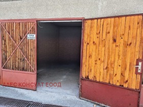 ����� ������� �����,���� �����, ����������