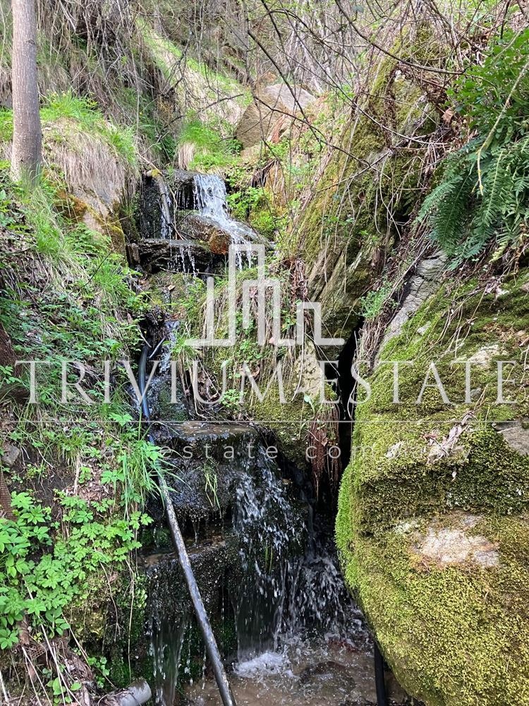 In vendita  Villa regione Plovdiv , Bojkovo , 50 mq | 29417103 - Immagine [7]