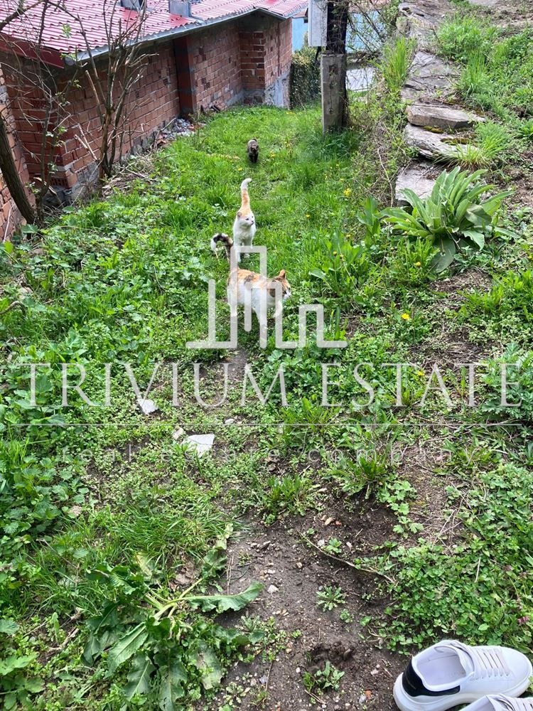 In vendita  Villa regione Plovdiv , Bojkovo , 50 mq | 29417103 - Immagine [4]