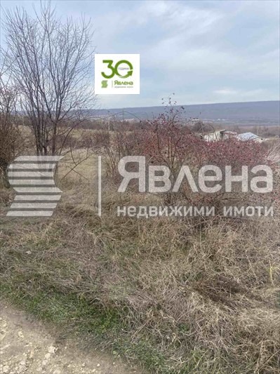 На продаж  Сюжет область Добрич , Рогачево , 1418 кв.м | 98362102 - зображення [3]