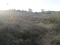 Продава ПАРЦЕЛ, област Перник, с. Ковачевци • 292500 € • 98540466 — Holmes.bg