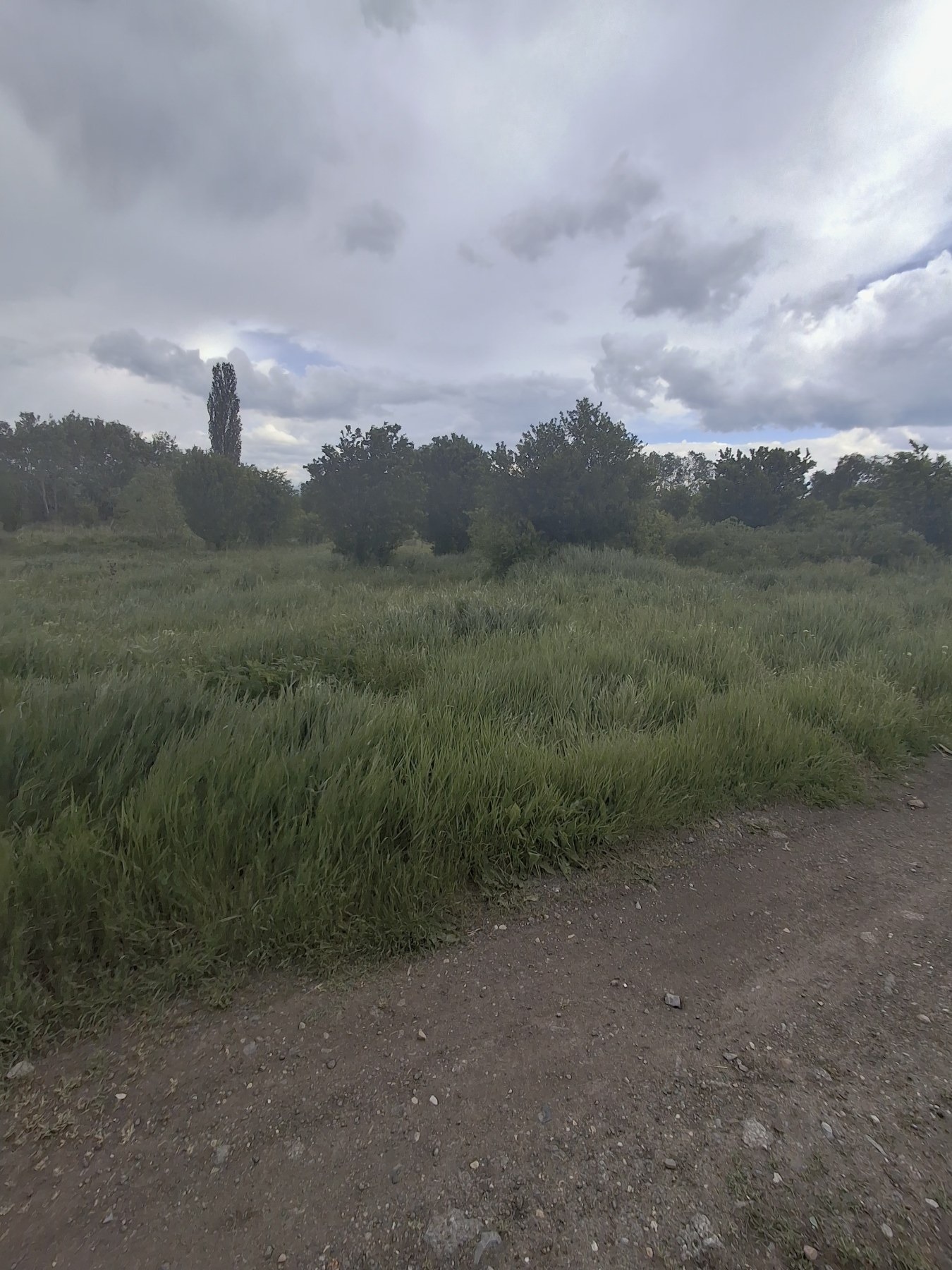 ������� ������ | Imot.bg � ����������� 5