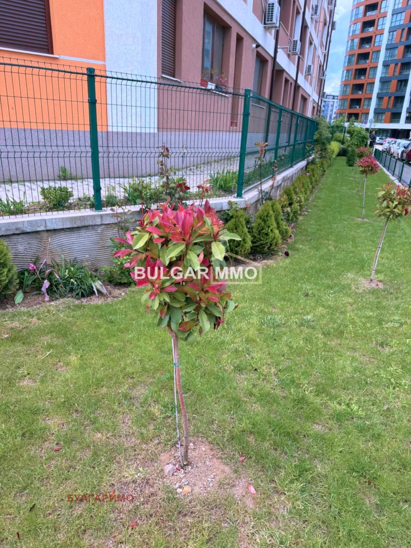 Zu verkaufen  1 Schlafzimmer Sofia , Witoscha , 58 qm | 61858960 - Bild [11]