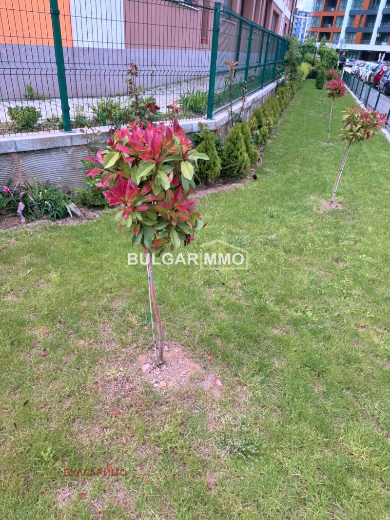 Zu verkaufen  1 Schlafzimmer Sofia , Witoscha , 58 qm | 61858960 - Bild [12]