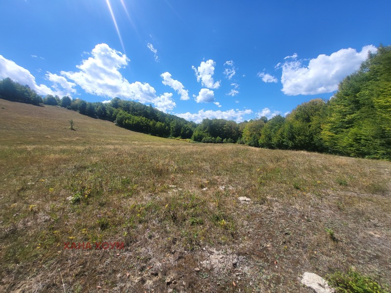 Til salg  Grund region Lovech , Apriltsi , 12008 kvm | 24051588 - billede [11]