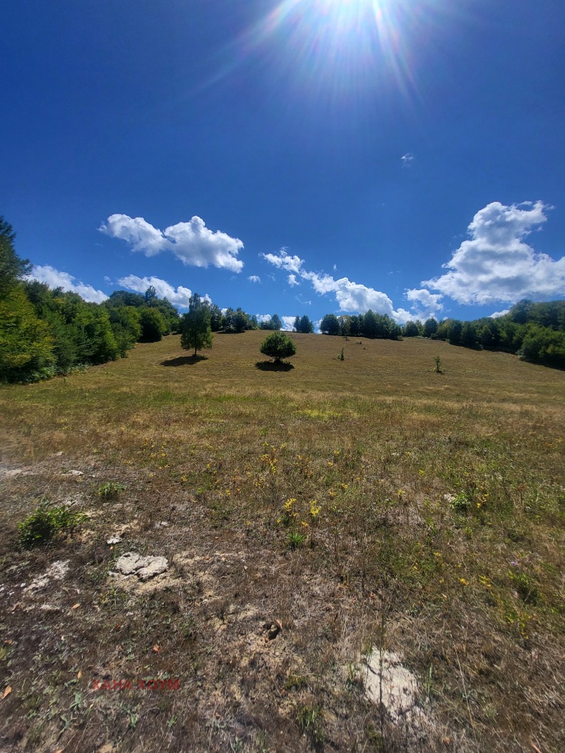 Til salg  Grund region Lovech , Apriltsi , 12008 kvm | 24051588 - billede [10]