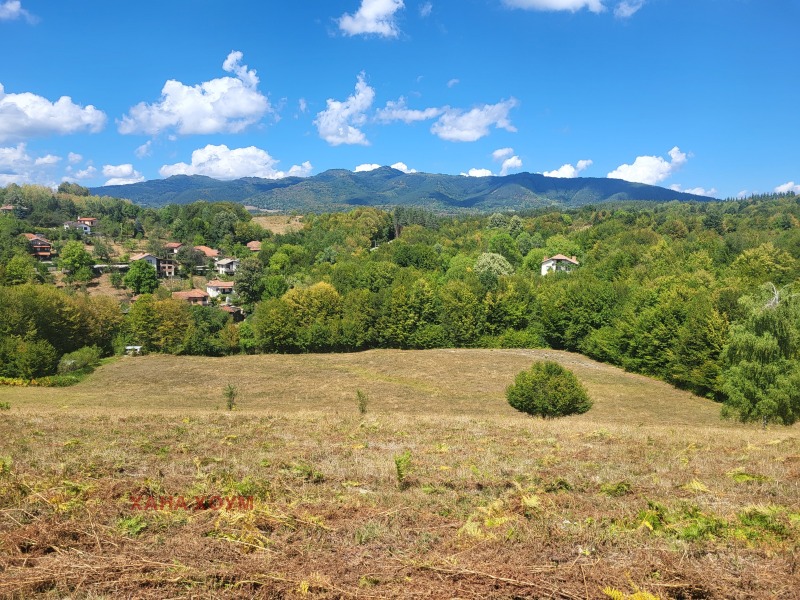 Til salg  Grund region Lovech , Apriltsi , 12008 kvm | 24051588 - billede [3]