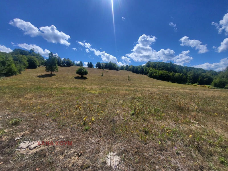 Til salg  Grund region Lovech , Apriltsi , 12008 kvm | 24051588 - billede [9]
