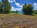 Продава ПАРЦЕЛ, област Ловеч, гр. Априлци • 92000 € • 63983090 — Holmes.bg