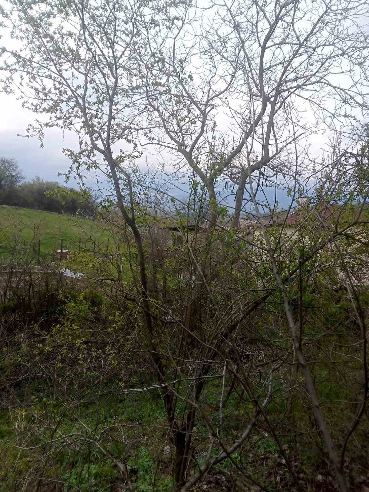 ������� ���� | Imot.bg � ����������� 10