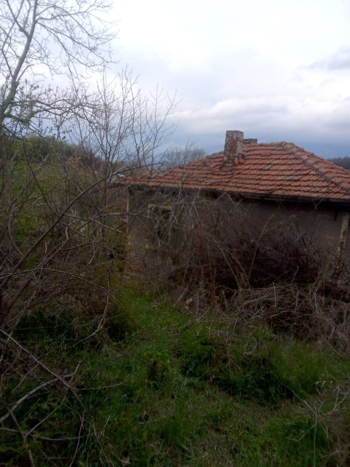 ������� ���� | Imot.bg � ����������� 12