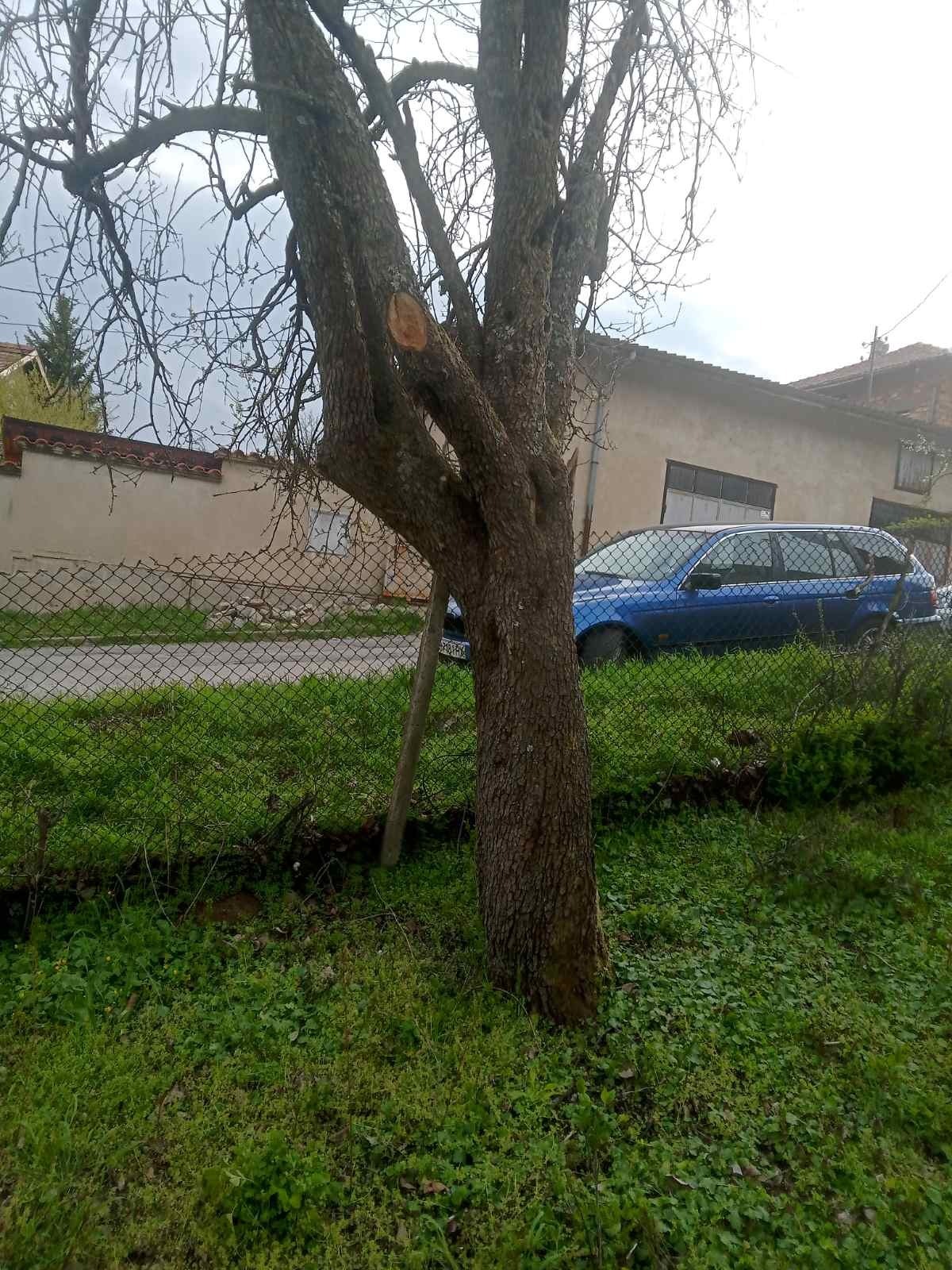 ������� ���� | Imot.bg � ����������� 7