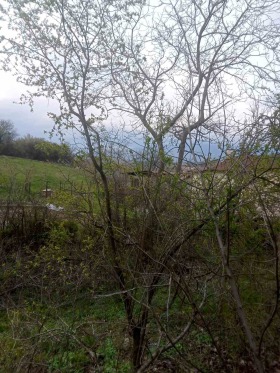 ������� ���� | Imot.bg � ����� ������ 10