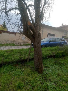 ������� ���� | Imot.bg � ����� ������ 7