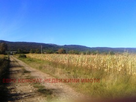 Jord Sevlievo, region Gabrovo 1