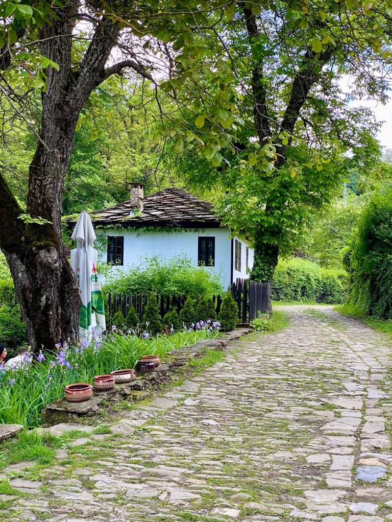 Продава ПАРЦЕЛ, с. Боженците, област Габрово, снимка 3 - Парцели - 52965186