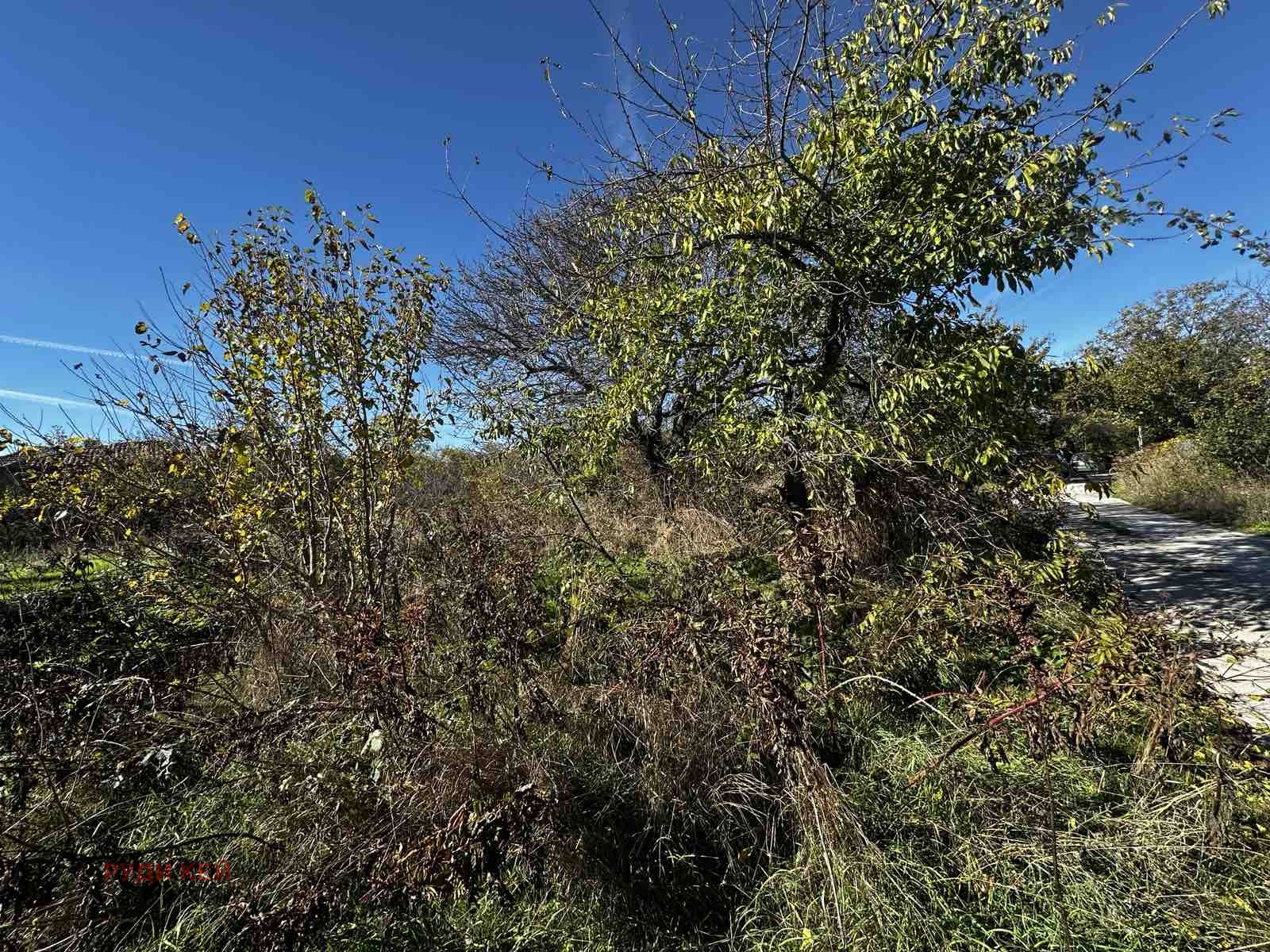 Продава ПАРЦЕЛ, с. Болярци, област Варна, снимка 2 - Парцели - 52223850