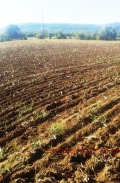 Продава ЗЕМЕДЕЛСКА ЗЕМЯ, гр. Севлиево, област Габрово, снимка 6