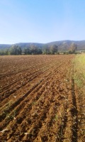 Продава ЗЕМЕДЕЛСКА ЗЕМЯ, гр. Севлиево, област Габрово, снимка 5