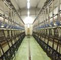 Продава БИЗНЕС ИМОТ, с. Дамяново, област Габрово, снимка 9