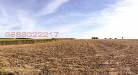 ������ ������� ���������� ����