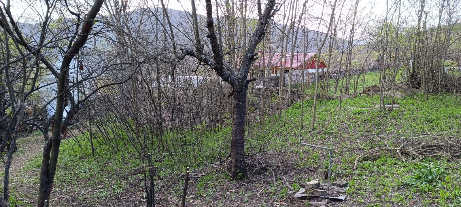 Продава ПАРЦЕЛ, с. Петрич, област София област, снимка 5 - Парцели - 55118273