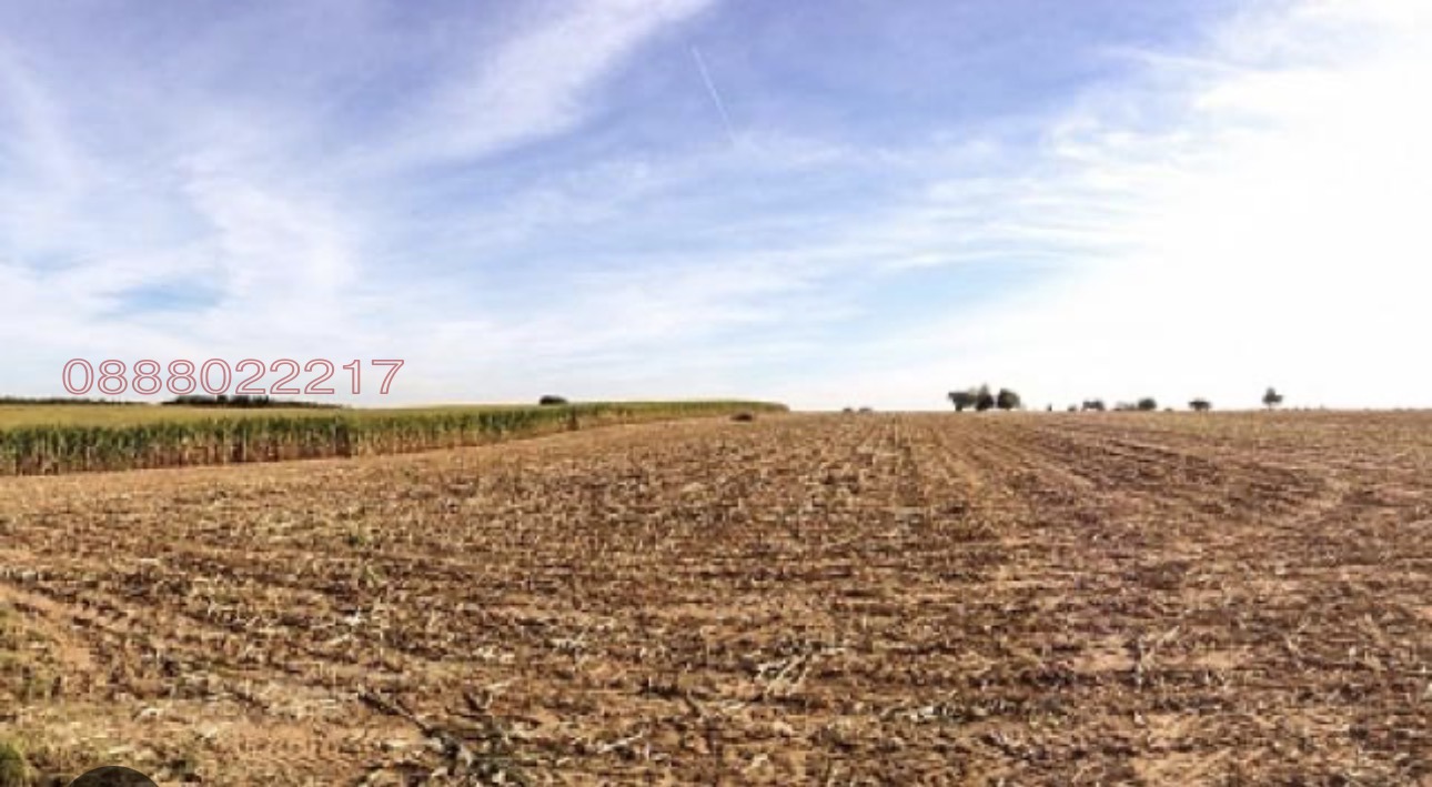 Продава ЗЕМЕДЕЛСКА ЗЕМЯ, с. Василево, област Добрич