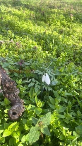 ����� ������� ���������� ����,�. ��� ����������, ������ ����� ������