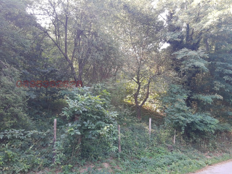 Продава ПАРЦЕЛ, с. Баланите, област Габрово, снимка 2 - Парцели - 52780001