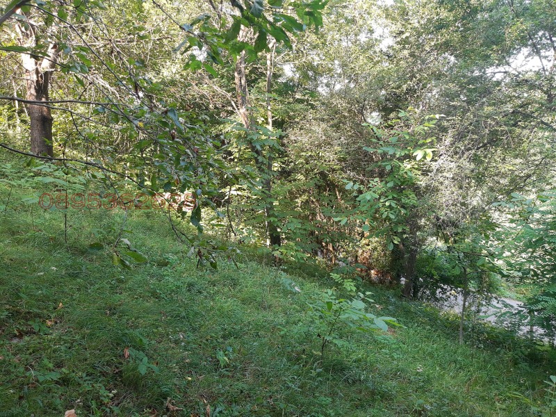 Продава ПАРЦЕЛ, с. Баланите, област Габрово, снимка 4 - Парцели - 52780001