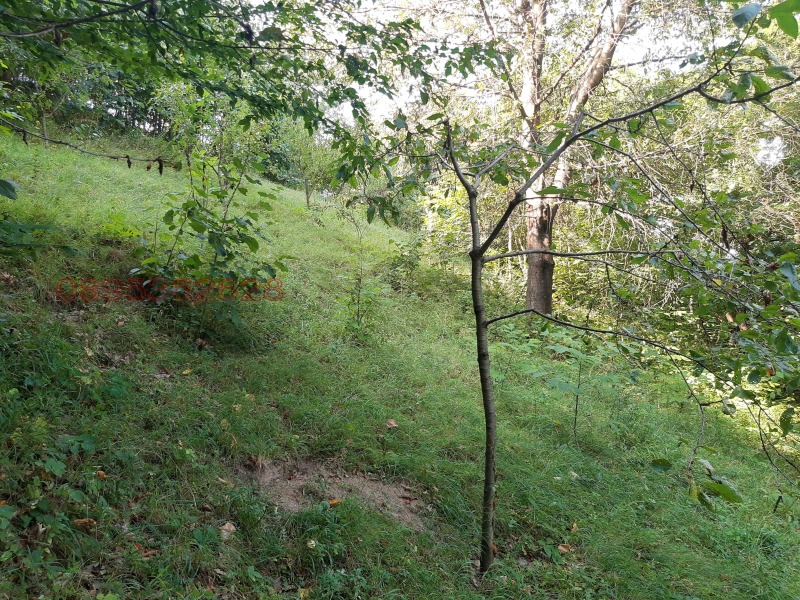 Продава ПАРЦЕЛ, с. Баланите, област Габрово, снимка 3 - Парцели - 52780001