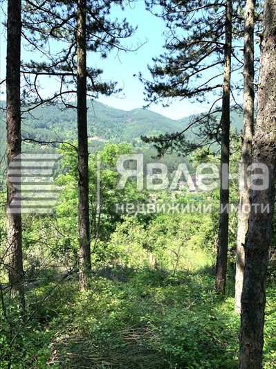 Продава ПАРЦЕЛ, с. Владо Тричков, област София област, снимка 2 - Парцели - 55697401