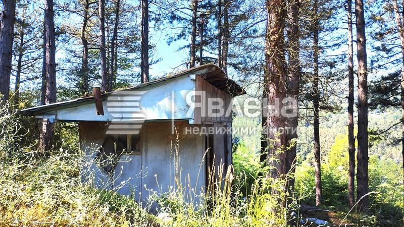 Продава ПАРЦЕЛ, с. Владо Тричков, област София област, снимка 3 - Парцели - 55697401
