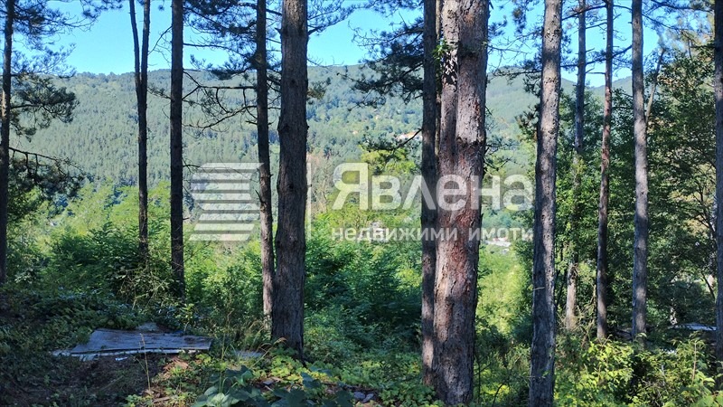 Продава ПАРЦЕЛ, с. Владо Тричков, област София област, снимка 8 - Парцели - 55697401
