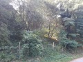 Продава ПАРЦЕЛ, с. Баланите, област Габрово, снимка 2