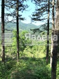 Продава  Парцел област София , с. Владо Тричков , 480 кв.м | 72318095 - изображение [2]