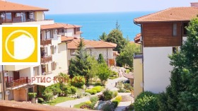 ����� ������� 3-�����,��. ����� ����, ������ ������