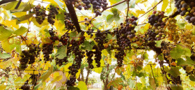 ������� ���� | Imot.bg � ����� ������ 3