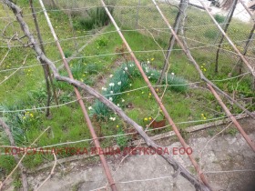 ������� ���� | Imot.bg � ����� ������ 11