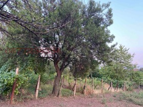 ������� ���� | Imot.bg � ����� ������ 12