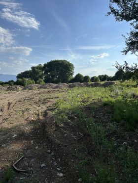 Till salu Komplott