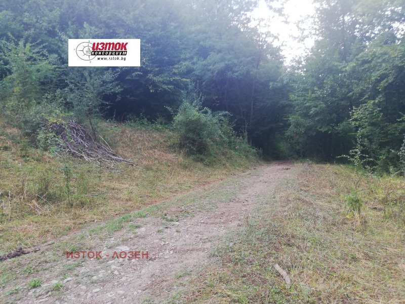 In vendita  Complotto regione Lovech , Ribaritsa , 8407 mq | 80612383 - Immagine [15]