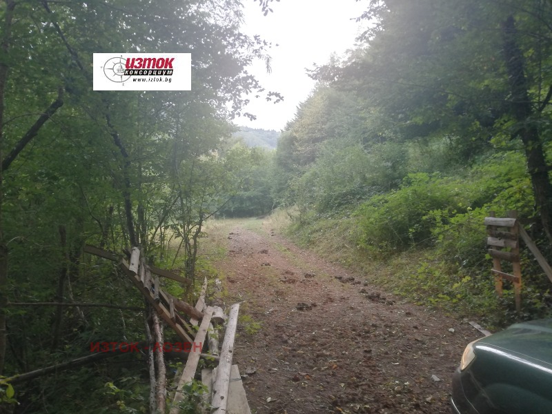 In vendita  Complotto regione Lovech , Ribaritsa , 8407 mq | 80612383 - Immagine [16]