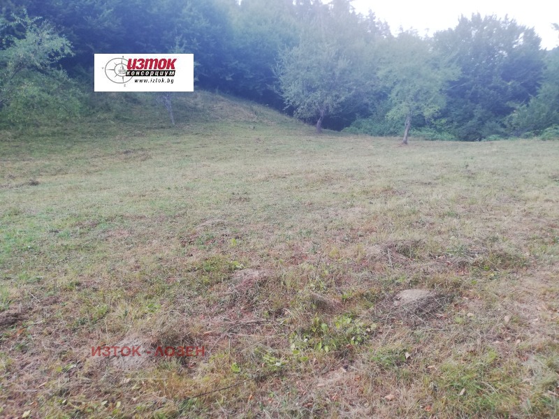 In vendita  Complotto regione Lovech , Ribaritsa , 8407 mq | 80612383 - Immagine [11]