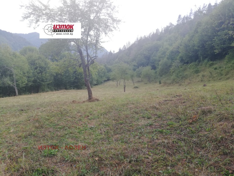 Na sprzedaż  Działka region Łowecz , Ribarica , 8407 mkw | 80612383 - obraz [4]