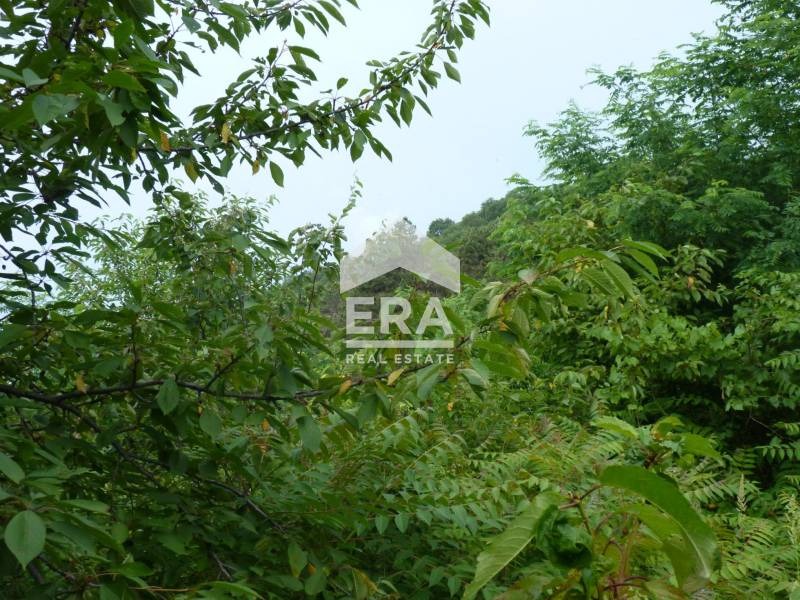 Satılık  Komplo bölge Varna , Ignatievo , 5801 metrekare | 68282460