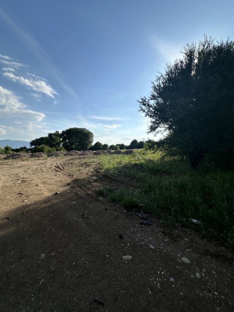 Продаја  Плот Софија , Бенковски , 3000 м2 | 97984112 - слика [4]
